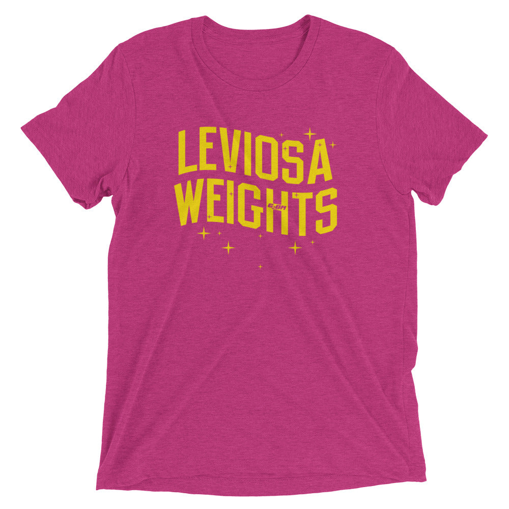 Leviosa Weights Men's T-Shirt