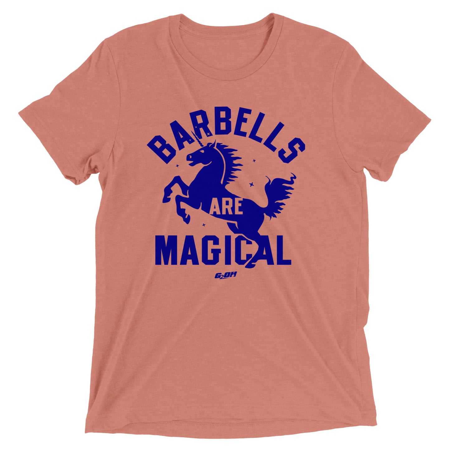 Barbells Are Magical Men's T-Shirt