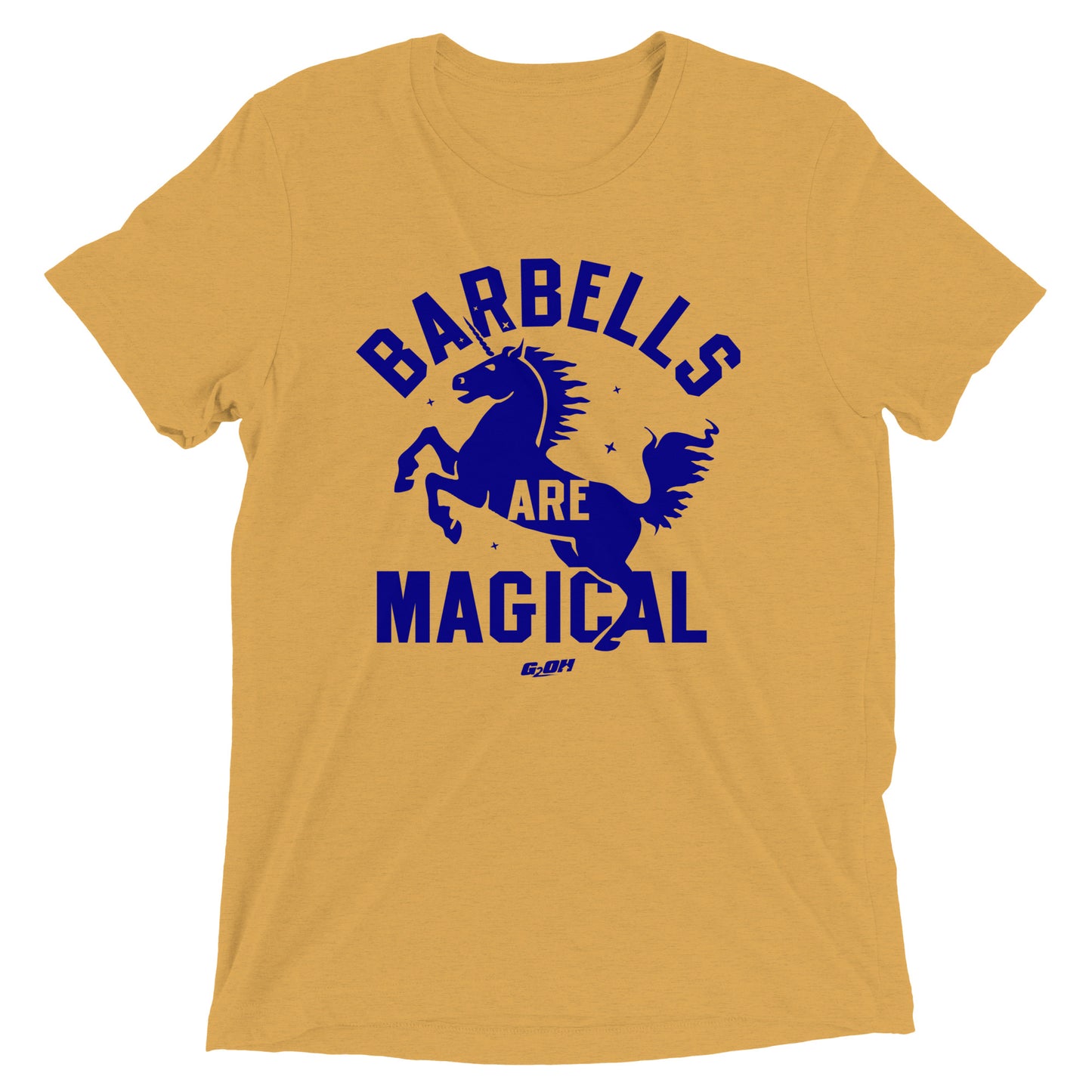 Barbells Are Magical Men's T-Shirt