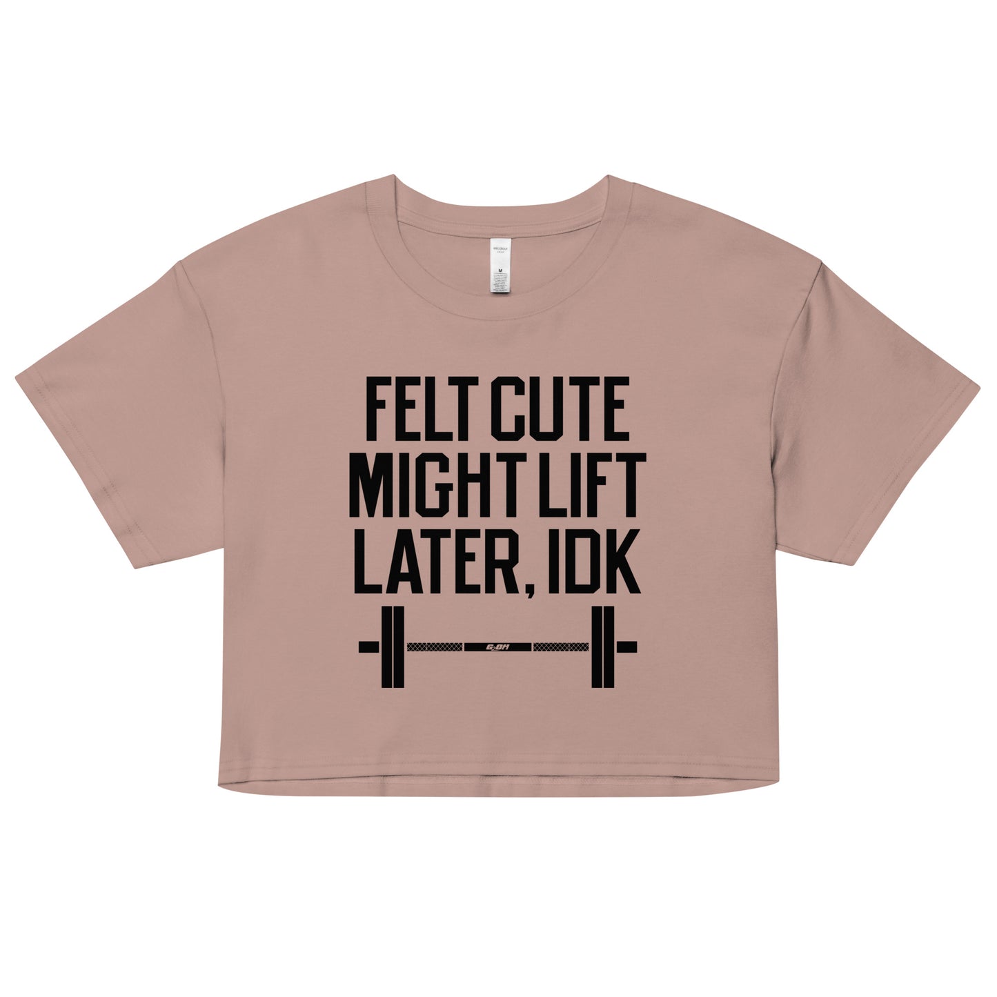 Felt Cute Might Lift Later Women's Crop Tee