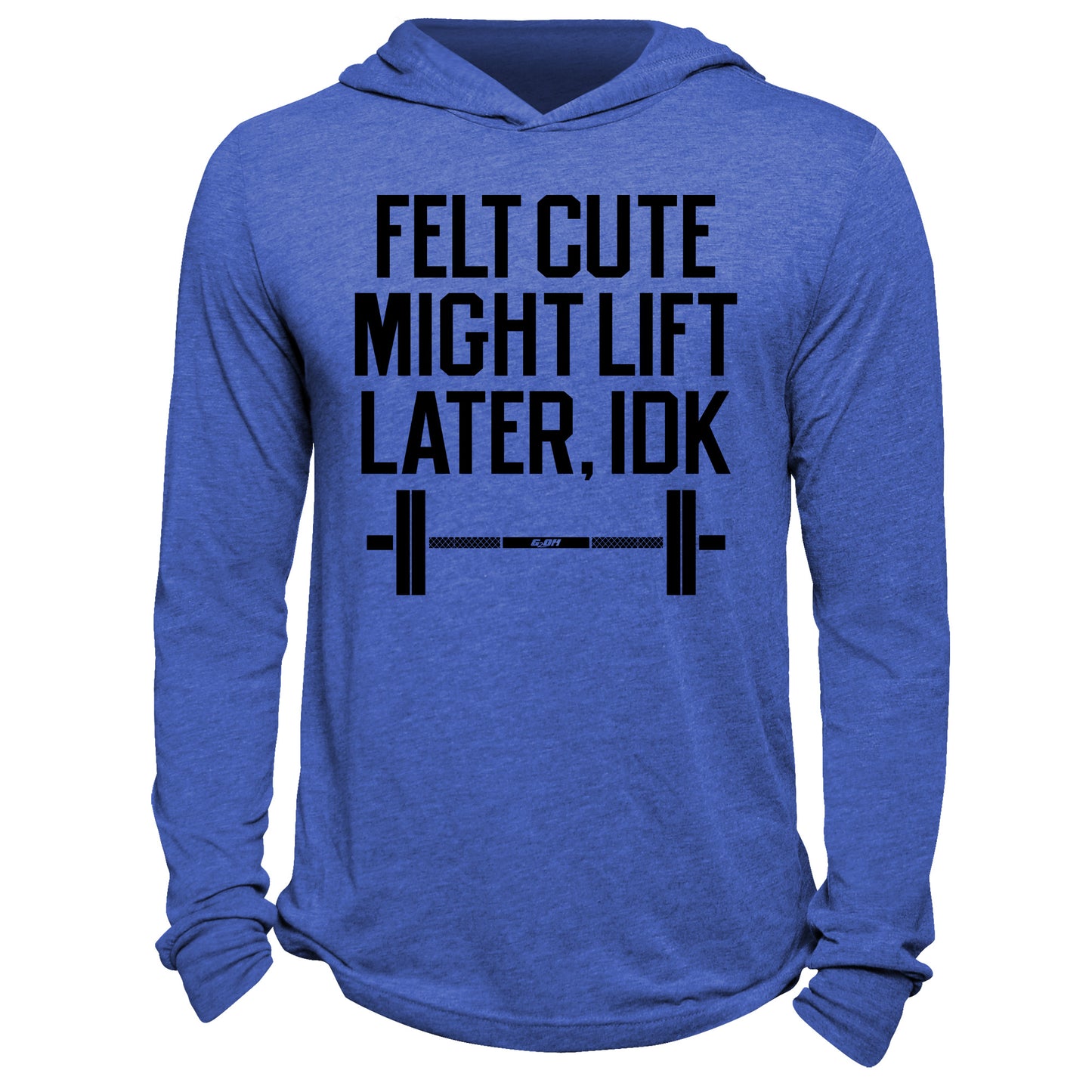 Felt Cute Might Lift Later Hoodie