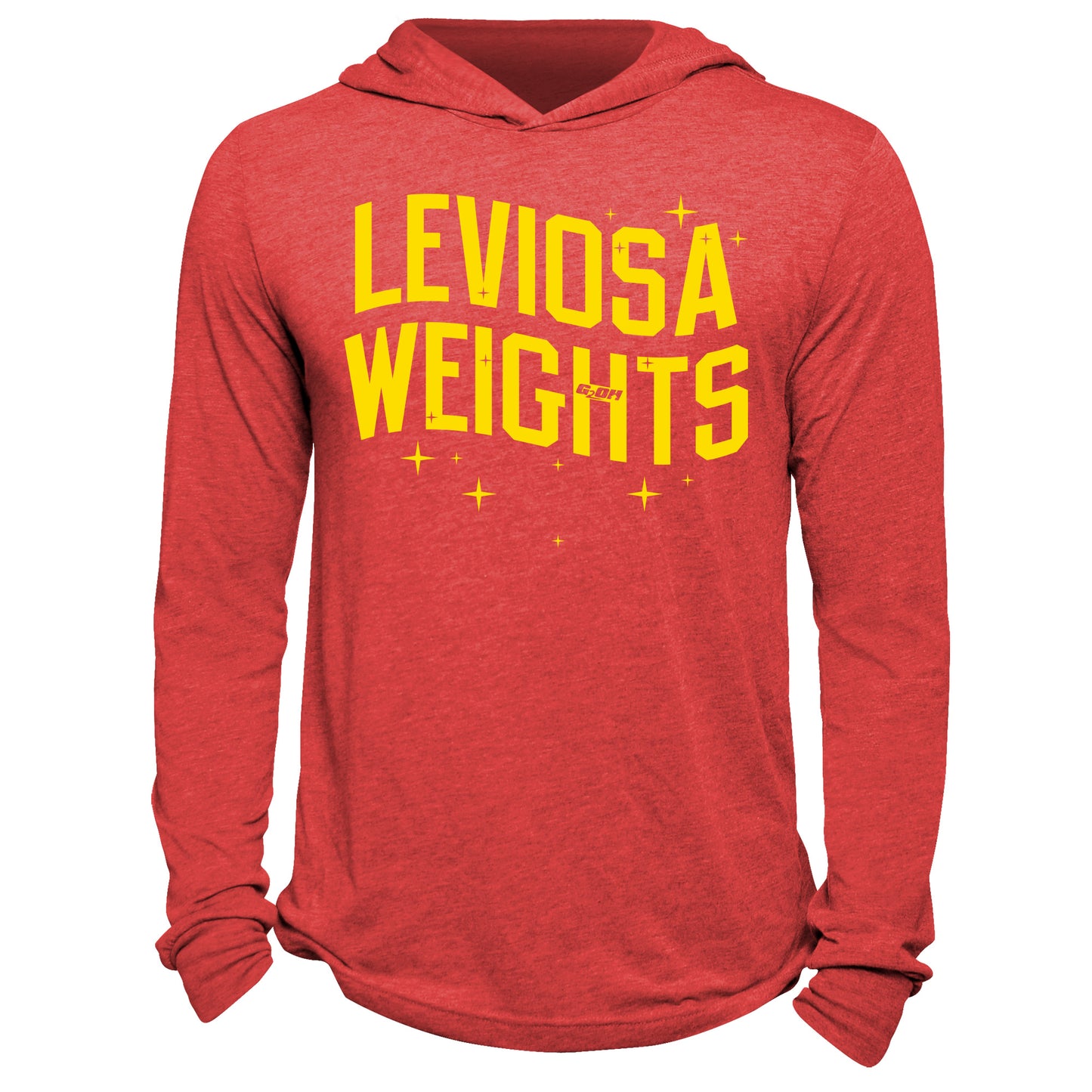 Leviosa Weights Hoodie