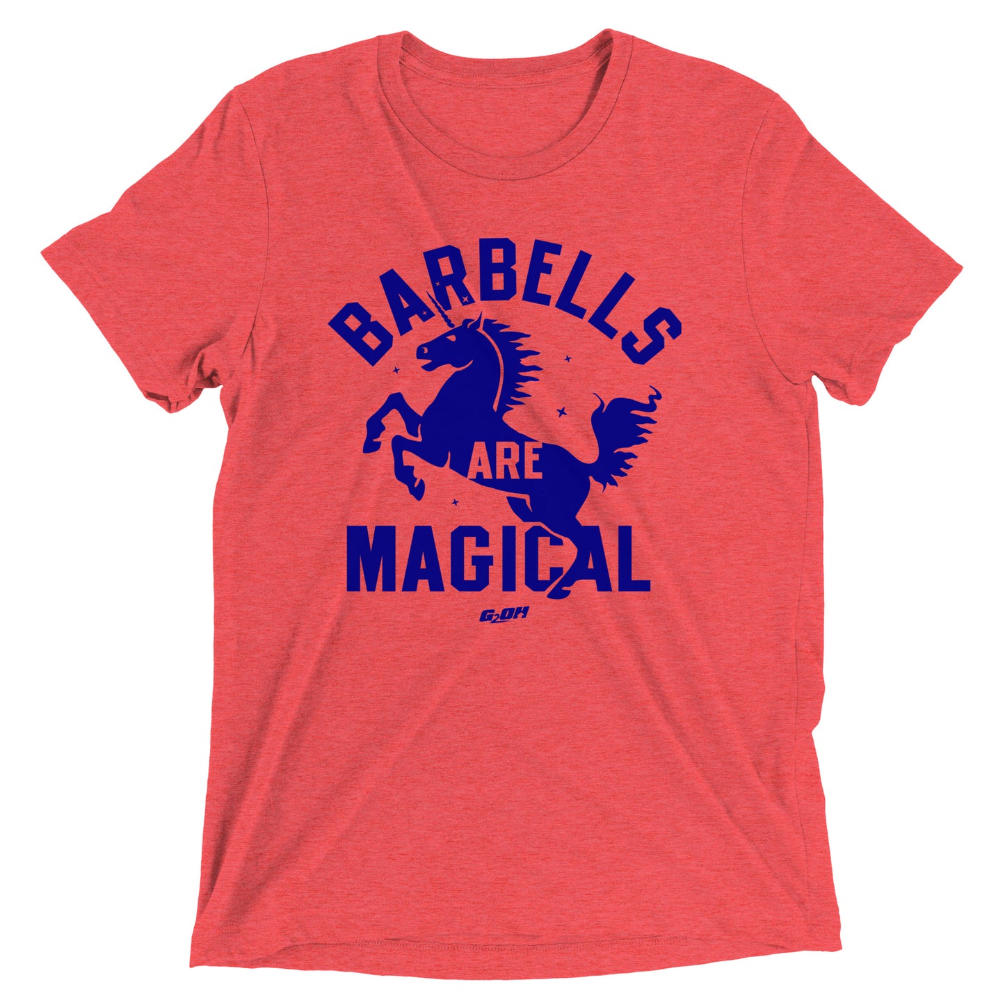 Barbells Are Magical Men's T-Shirt
